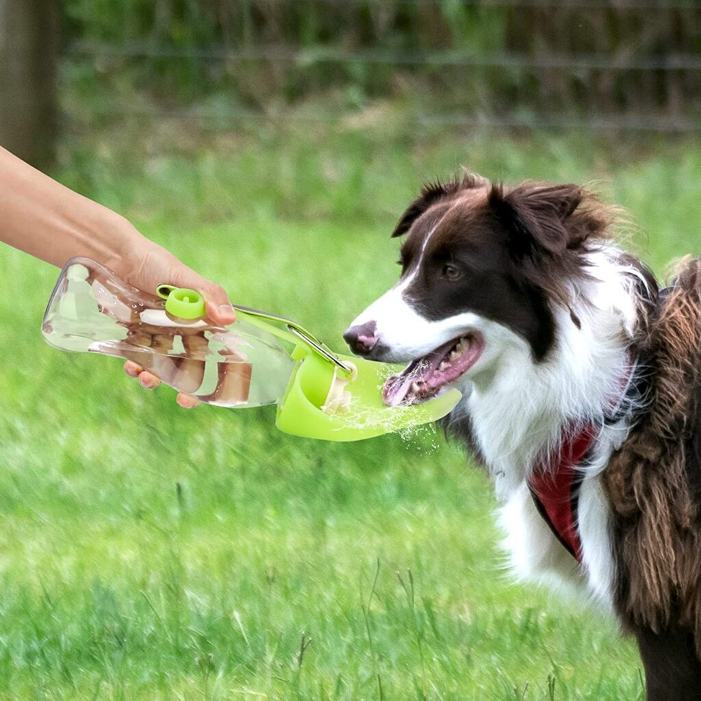 Portable Pet Travel Water Bottle