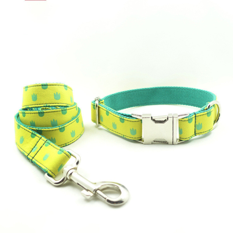 Adjustable Dog Collar and Leash Set