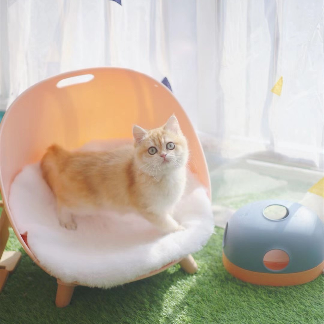 Interactive Cat Turntable Activity Toy - Image 5