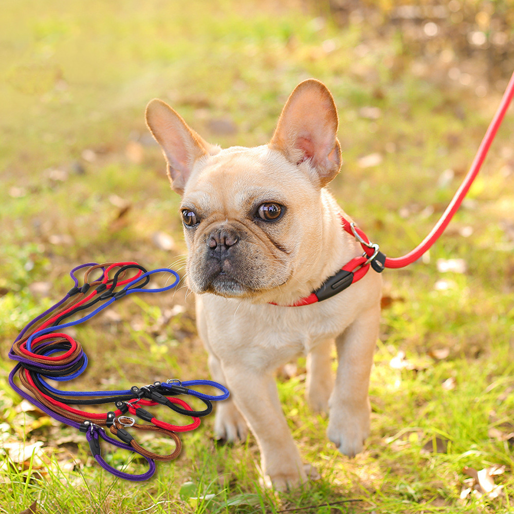 Durable Everyday Dog Walking Leash