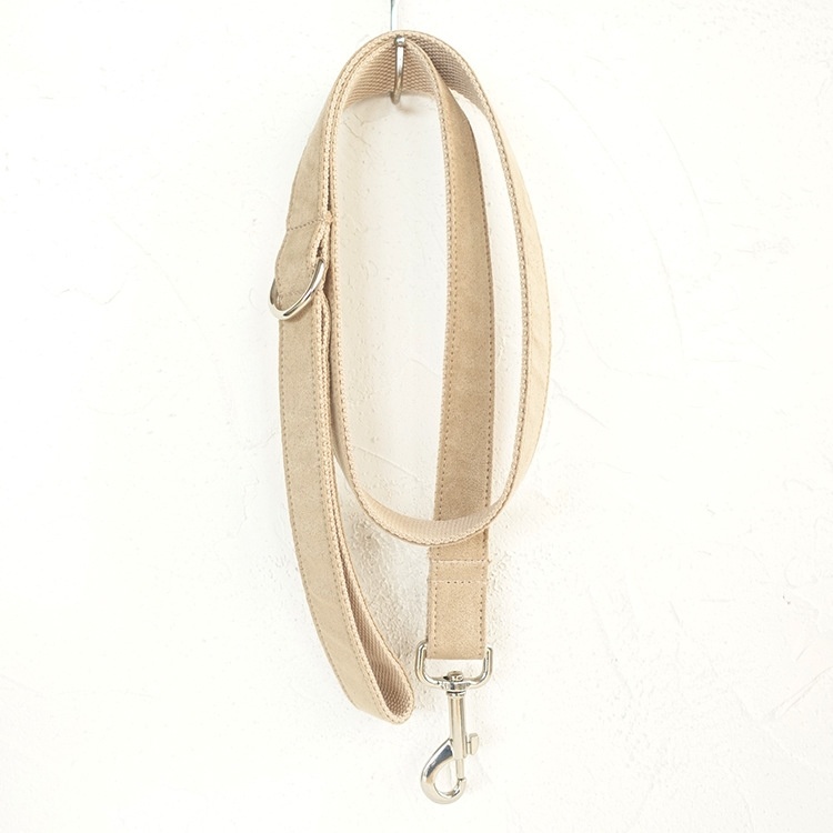 Durable Everyday Dog Walking Leash