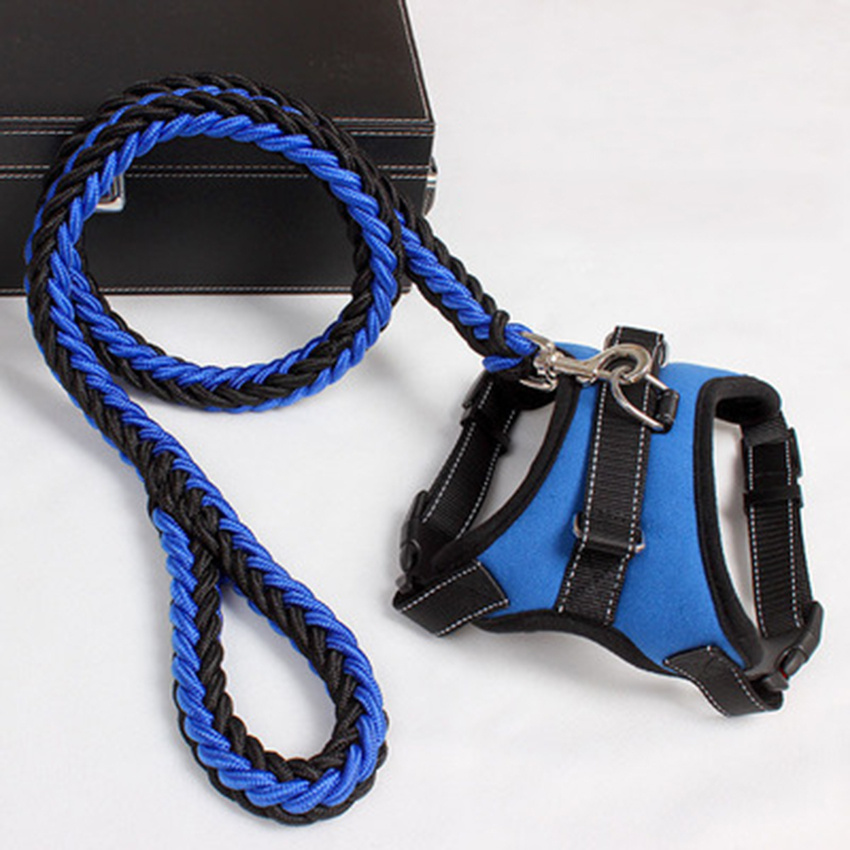 Adjustable Dog Harness and Leash Set