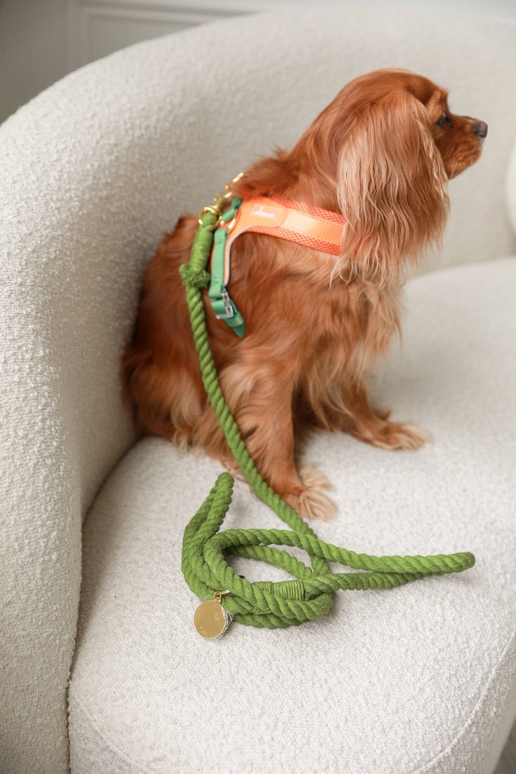 Trail leads for everyday walks