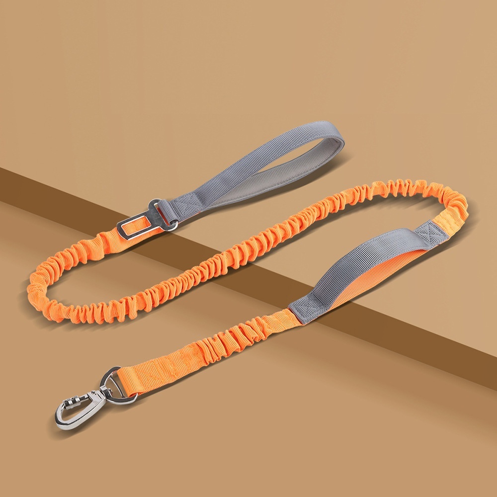 Reflective Dog Walking Leash