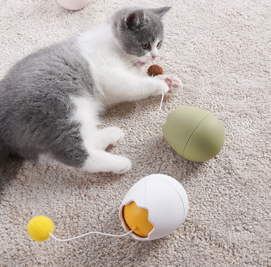 Interactive Cat Activity Play Toy - Image 4