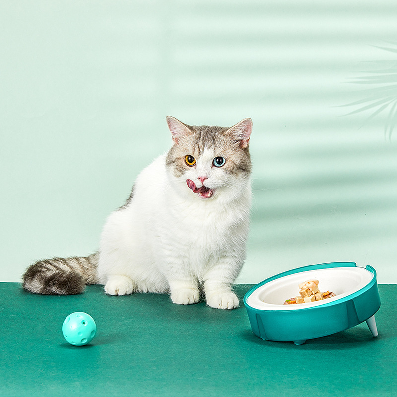 Disposable Pet Feeding Bowl Set