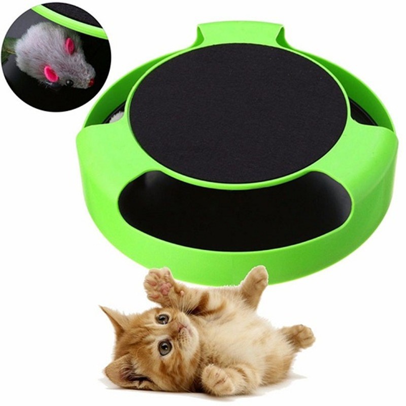 Interactive Cat Activity Play Toy