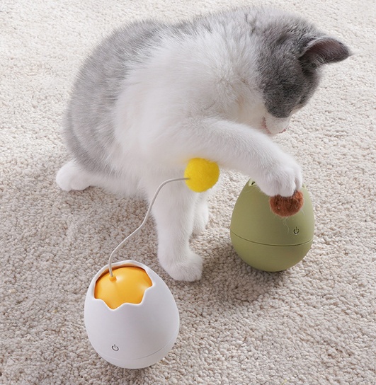 Interactive Cat Activity Play Toy