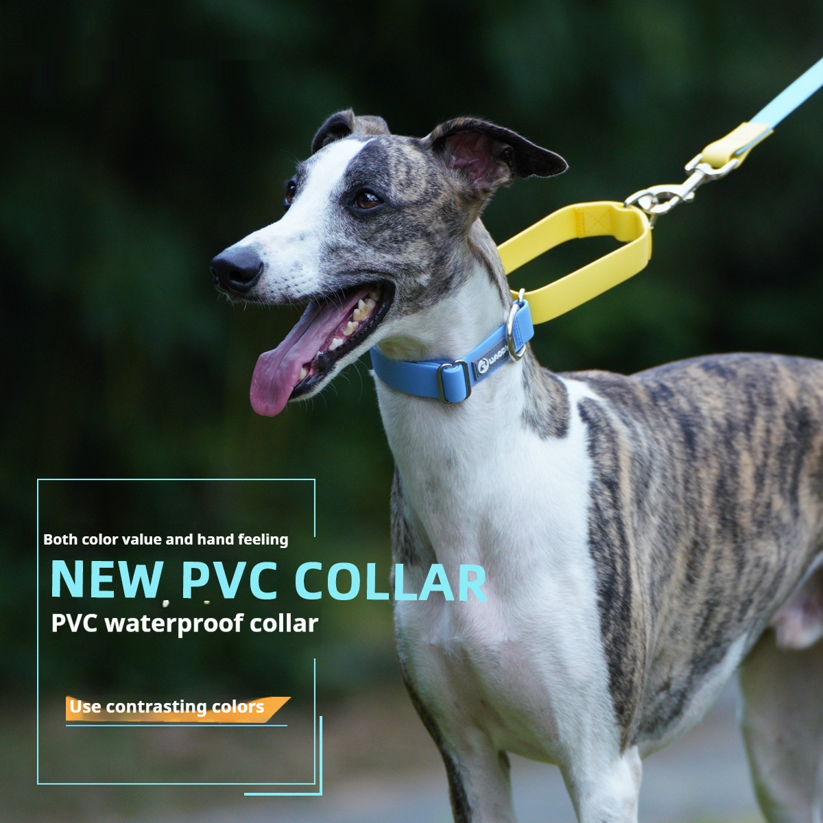 Adjustable Everyday Dog Collar - Image 3