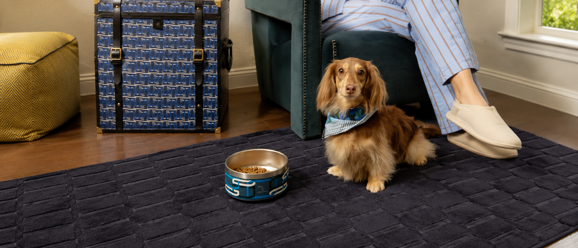 Pet relaxing at home
