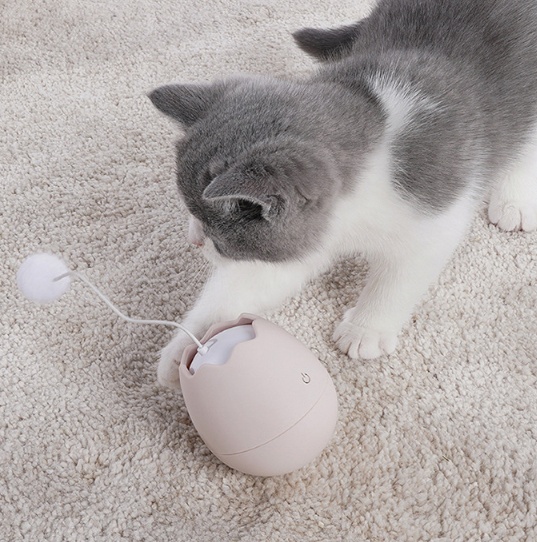 Interactive Cat Activity Play Toy - Image 3