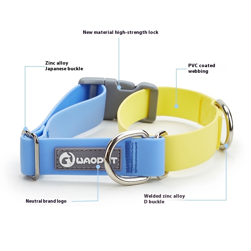 Adjustable Everyday Dog Collar - Image 4