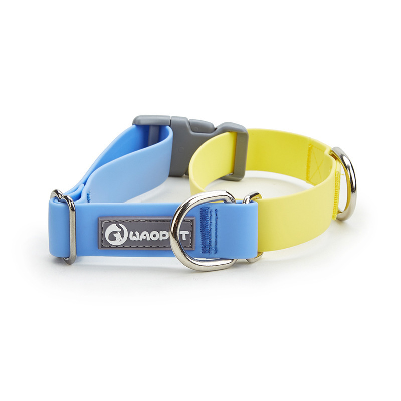 Adjustable Everyday Dog Collar - Image 5