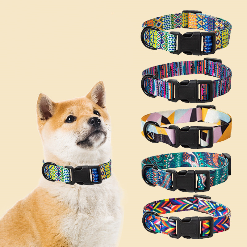 Adjustable Dog Collar and Leash Set