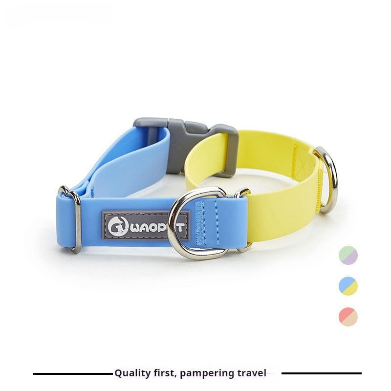 Adjustable Everyday Dog Collar - Image 2