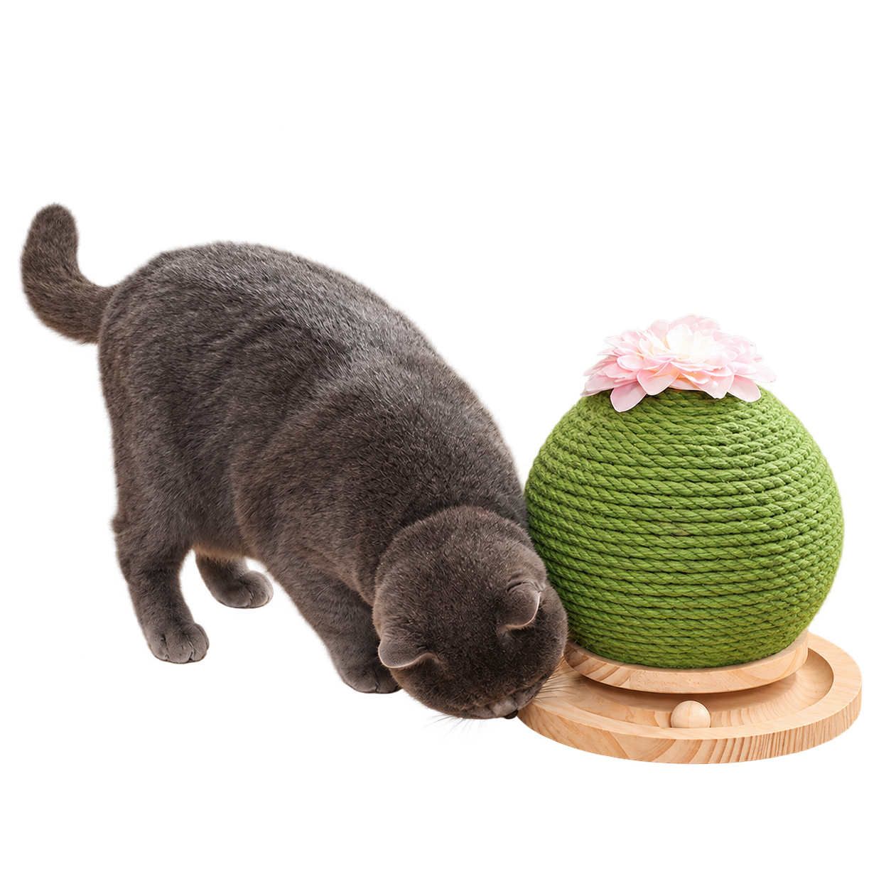 Pet toys
