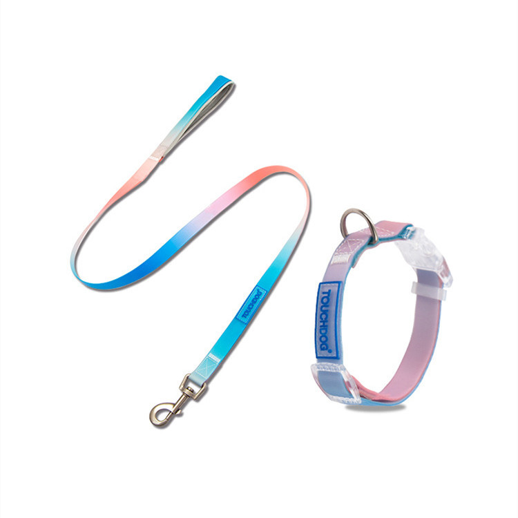 Durable Everyday Dog Walking Leash