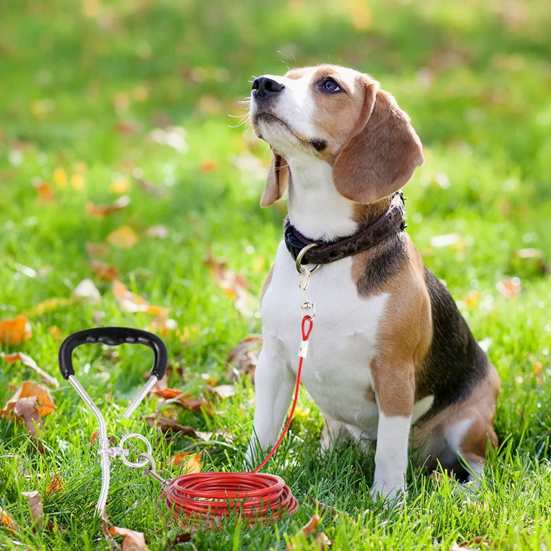 Dual Dog Walking Leash - Image 7