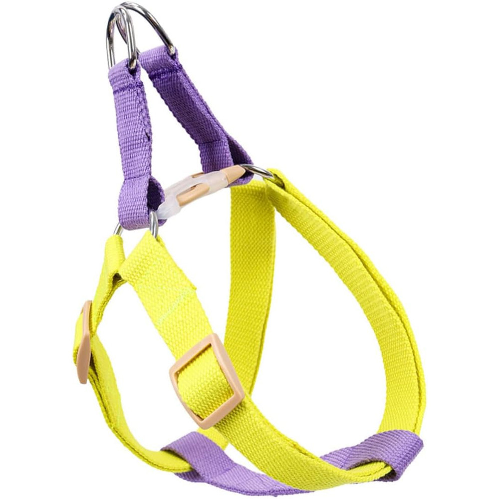 Adjustable Dog Harness and Leash Set