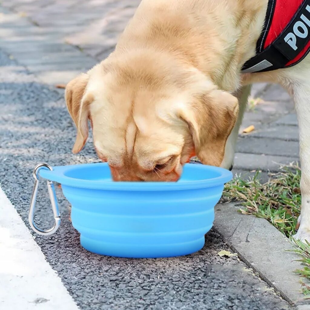 Portable Double Pet Feeding Bowl