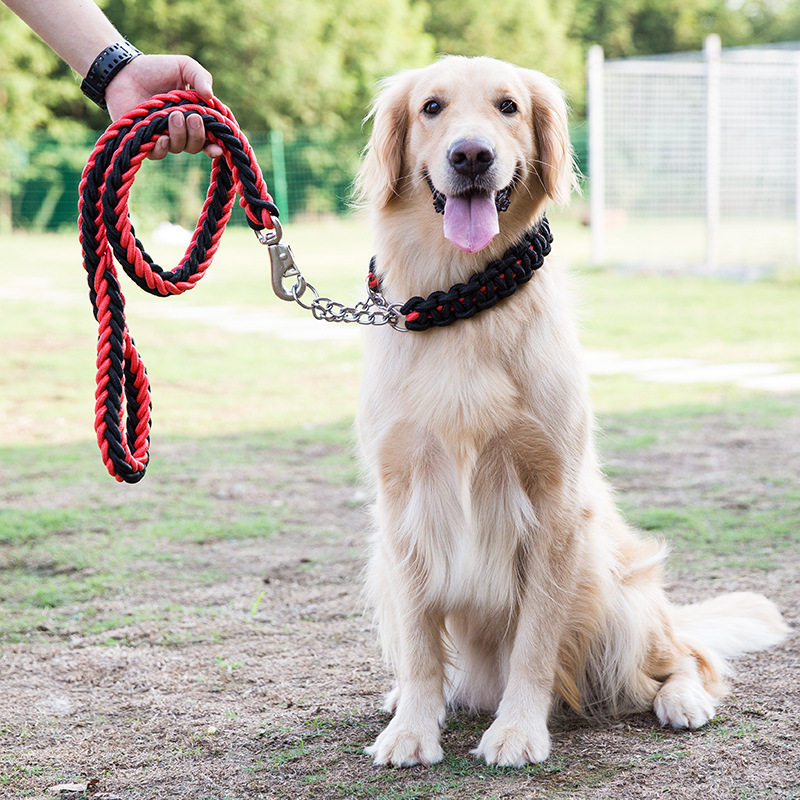 Adjustable Dog Collar and Leash Set