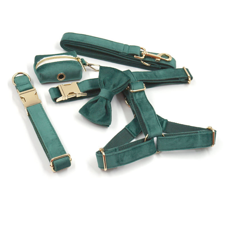 Adjustable Dog Collar and Leash Set